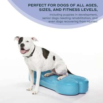FitPAWS K9FITbone Giant for Dog Balance Training Equipment