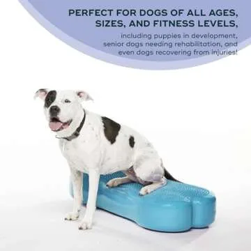 FitPAWS K9FITbone Giant for Dog Balance Training Equipment