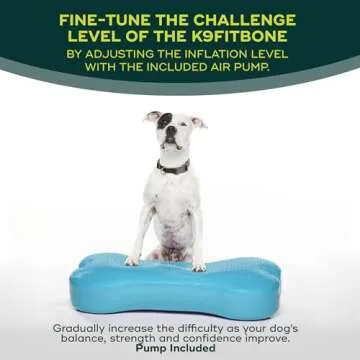 FitPAWS K9FITbone Giant for Dog Balance Training Equipment