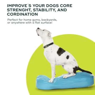 FitPAWS K9FITbone Giant for Dog Balance Training Equipment