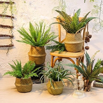 Eco-Friendly Seagrass Belly Basket for Storage and Decor