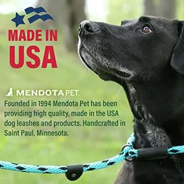 Mendota Pet Slip Leash - Versatile Dog Collar and Lead Combo