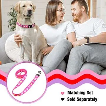 Native Pup Valentine’s Dog Collar - Adorable Hearts for All Dogs