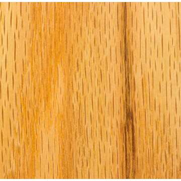 RUST-OLEUM Watco 65751 Danish Oil Wood Finish - Natural, 16 Fl Oz