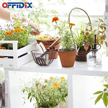 Elegant Glass Plant Mister for Indoor and Outdoor Use