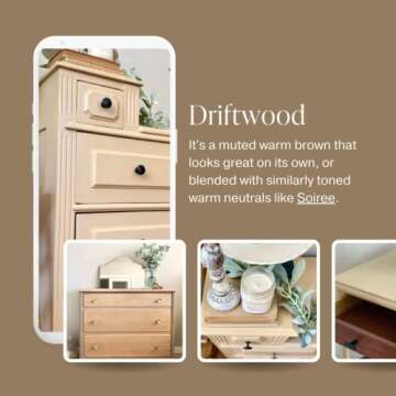 Chalk Style Paint - for Furniture, Home Decor, Crafts - Eco-Friendly - All-in-One - No Wax Needed (Driftwood [Brown], Sample (4 oz))