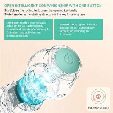 Jiggle Ball For Dogs, Jiggle Ball Dog Toy, Jiggle Ball For Cats, Interactive Dog Toy Ball, Auto Rolling Ball For Dog, Self Rolling Ball Dog Toy For Outdoor Cats Dogs To Stimulate Hunting (2 PCS)