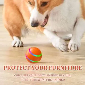 Exciting Jiggle Ball for Dogs - Interactive Entertainment Toy