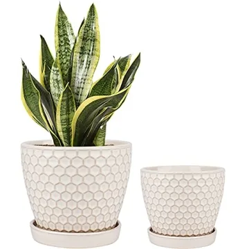 Docrin Ceramic Plant Pots Indoor: 6.6 + 5.5 Inch Planters with Drainage Holes and Saucer for Home/Of...
