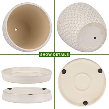 Docrin Ceramic Plant Pots Set: Versatile Indoor Planters