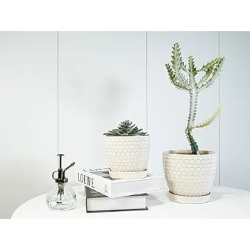 Docrin Ceramic Plant Pots Set: Versatile Indoor Planters