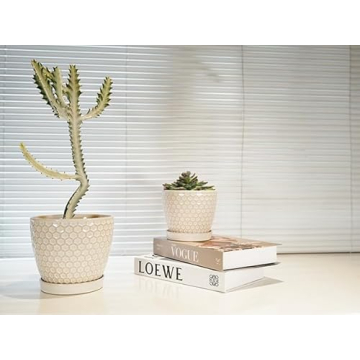 Docrin Ceramic Plant Pots Set: Versatile Indoor Planters