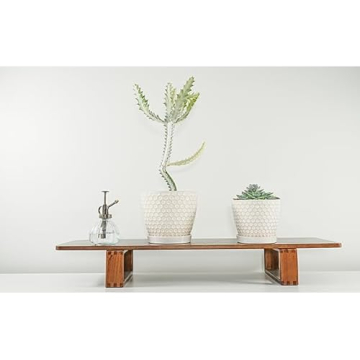 Docrin Ceramic Plant Pots Set: Versatile Indoor Planters