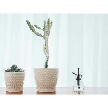 Docrin Ceramic Plant Pots Set: Versatile Indoor Planters
