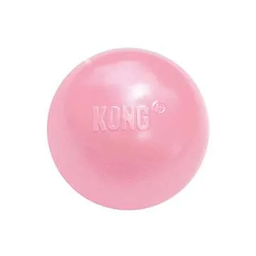 KONG Puppy Ball w/Hole - Soft & Durable Activity Ball for Puppies - Dog Toy Supports Healthy Exercise & Interactive Play - Dog Toy for Natural Teething - for Small Puppies - Assorted Colors
