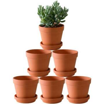 6 Pack Large Terracotta Pots with Drainage Hole