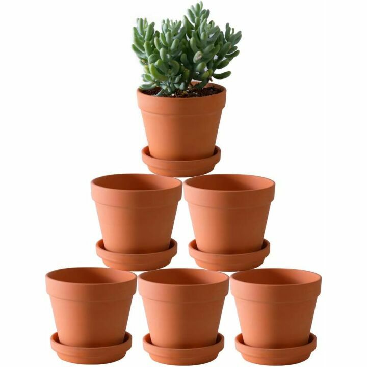 6 Pack Large Terracotta Pots with Drainage Hole