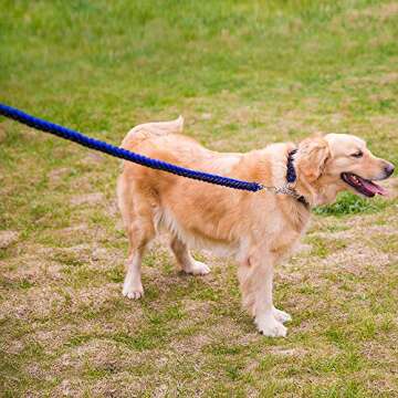 HIPIPET Braided Dog Leash and Collar Set Highly Reflective Explosion-Proof Rope Chain for Large and Medium Dogs (Black and Blue, XL)