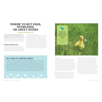 Raising Ducks Guide for Beginners and Beyond