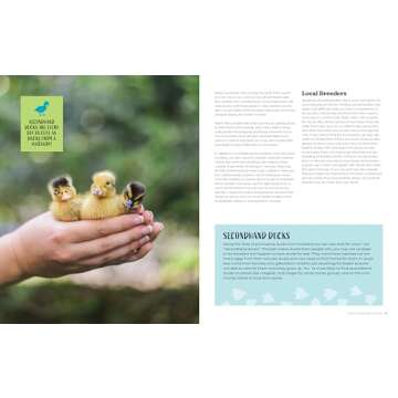Raising Ducks Guide for Beginners and Beyond