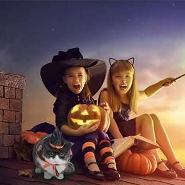 Halloween Witch Costume for Cats and Puppies - Fun & Durable