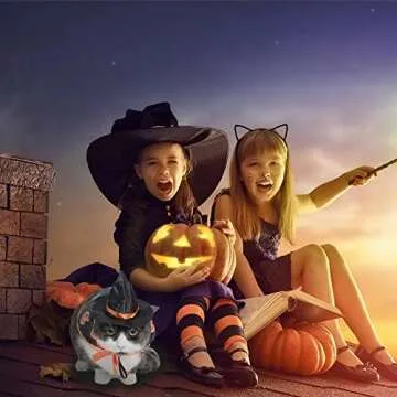 Halloween Witch Costume for Cats and Puppies - Fun & Durable