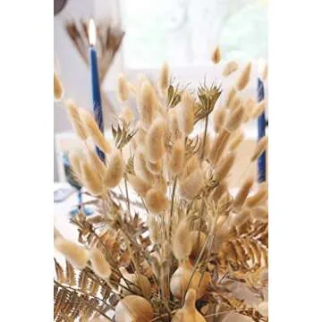 bd crafts Bunny Tail Natural Dried