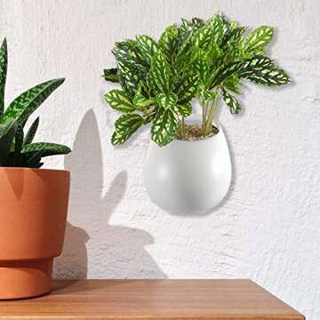 Wall Plant Holder, ZOUTOG 5 inch Round Ceramic Wall Mounted Planters for Indoor Plants, Hanging Succ...