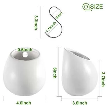 ZOUTOG Wall Plant Holders for Your Indoor Plants