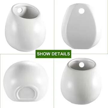 ZOUTOG Wall Plant Holders for Your Indoor Plants