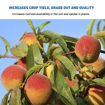 Enhance Your Garden with Azomite Organic Mineral Powder