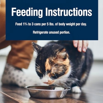 Blue Buffalo Blissful Belly Wet Cat Food for Digestion