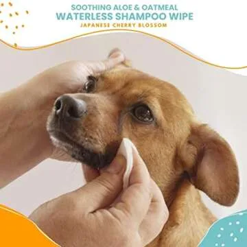 Nootie Waterless Shampoo Wipes for Dogs & Cats 70 Count