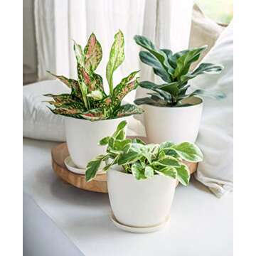 Mkono 7.5 Inch Plastic Planters Indoor Set of 3 Flower Plant Pots Modern Decorative Garden Pot with ...