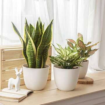Mkono 7.5 Inch Plastic Planters Indoor Set of 3 Flower Plant Pots Modern Decorative Garden Pot with Drainage and Tray for All House Plants, Flowers, Herbs, Foliage Plant, and Seed Nursery, Cream White