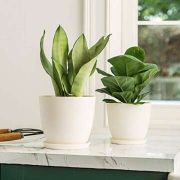 Mkono 7.5 Inch Plastic Planters Indoor Set of 3 Flower Plant Pots Modern Decorative Garden Pot with Drainage and Tray for All House Plants, Flowers, Herbs, Foliage Plant, and Seed Nursery, Cream White