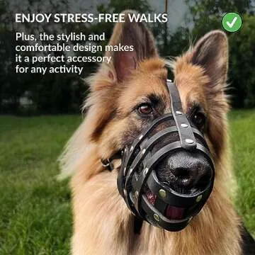 CollarDirect Dog Muzzle German Shepherd Dalmatian Doberman Setter Leather Basket Medium Large Breeds (Black, Large)