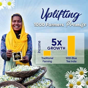 Blue Tea Combo - Butterfly Pea & Hibiscus Tea | Antioxidant Rich | Herbal Tea