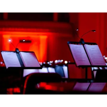 DkOvn Rechargeable Music Stand Light, 1 Pack Music Stand Light with USB, 8 LED Book Lamp for Reading, Playing Musical Instruments(1 Pack Light)