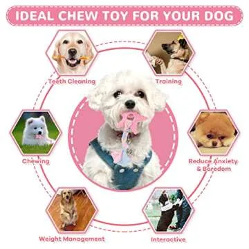 XGDMEIL 6 Pack Puppy Teething Chew Toys for Small Dogs