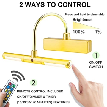 LUXSWAY Battery Powered Picture Light for Artwork