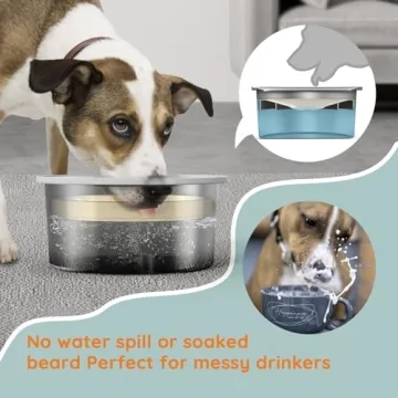 OZW 4-in-1 Elevated Dog Bowls for Healthy Eating