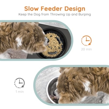 OZW 4-in-1 Elevated Dog Bowls for Healthy Eating