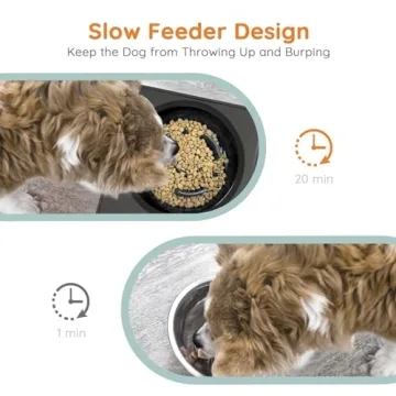 OZW 4-in-1 Elevated Dog Bowls for Healthy Eating