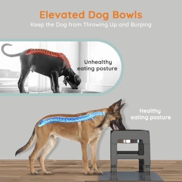 OZW 4-in-1 Elevated Dog Bowls for Healthy Eating