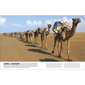 Cars, Trains, Ships, Planes Visual Encyclopedia for Kids