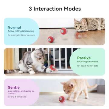 Cheerble Interactive Cat Ball Toy, Automatic Moving Ball Puzzle Toy for Indoor Cat Kitten, Smart Ant...