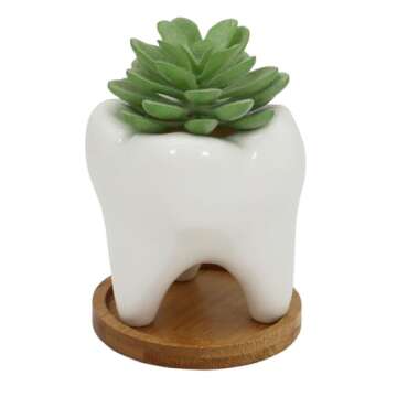 Gemseek Cute Tooth Succulent Planter Pot with Drainage Tray, White Ceramic Cactus Flower Container, ...