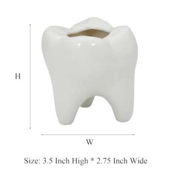Gemseek Cute Tooth Succulent Planter Pot with Drainage Tray, White Ceramic Cactus Flower Container, Small Indoor Air Plant Holder for Dental Office Decor