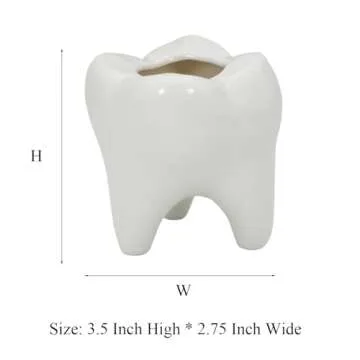 Gemseek Cute Tooth Succulent Planter Pot with Drainage Tray, White Ceramic Cactus Flower Container, Small Indoor Air Plant Holder for Dental Office Decor